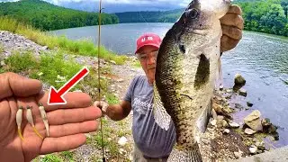 MASSIVE CRAPPIE! Catch MORE Summer Crappie From The Bank With THESE Tips!