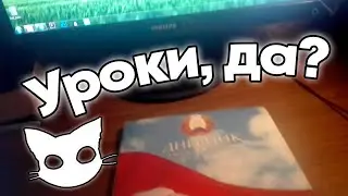 там же уроков немного задали, да?