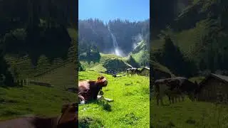 Wonderful