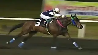 JAN 31,2020 - METRO TURF - RACE REVIEW and DIVIDENDS