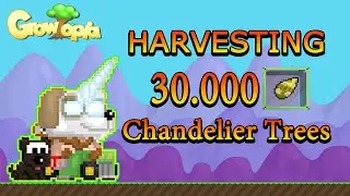 Profit from Harvesting 30k Chand Trees | Growtopia