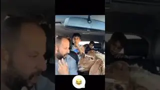 Обучение барана 