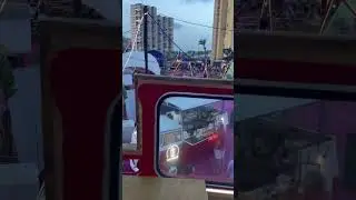 Мысль дня 24.08.2024 #237
