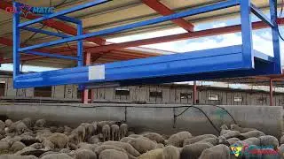 Carro Inalambrico de transporte  con plataforma