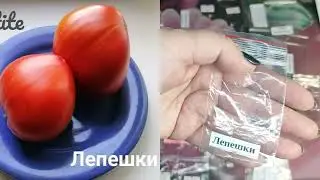 Начинаю выбор сортов для весны 2024, первая посылочка с семенами !