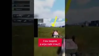 птичка в PUBG 