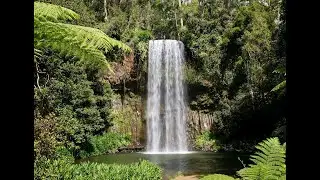 Travel at Tableland/Atherton, Cairns Australia