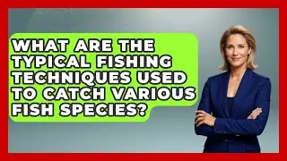 What Are the Typical Fishing Techniques Used to Catch Various Fish Species? | Chasing Big Fish