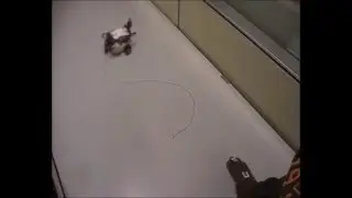 Robot hand gesture control - Otto