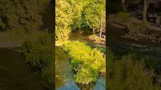 The boat on the River, Belmontas