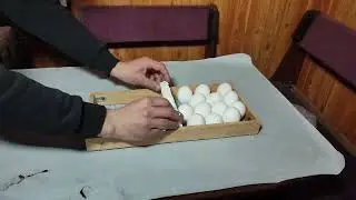Инкубатор своими руками.