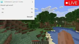 Minecraft,but chat chooses what I do🔴LIVE