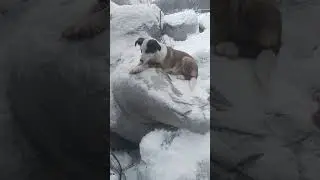 Кэси и Дик 💓
