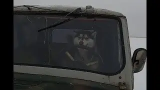 Вне дорог Частоозерье / Проверка машин на прочность / Ищем фаворитов!