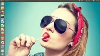 Install Netflix in Ubuntu and Linux Mint [2013]