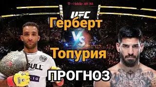 UFC: Прогноз на бой Джей Герберт vs Илия Топурия | разбор и анализ боя Джей Герберт vs Илия Топурия