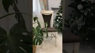 РЕДИЗАЙН И РЕСТАВРАЦИЯ УСТАВШИХ СТУЛЬЕВ 