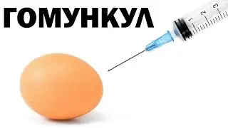 Как сделать гомункула Homunculus