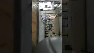 Bazinga wod 1