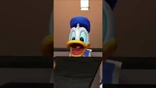 Wrong Food