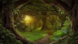 Irish Fantasy Music - Song of the Hobbits