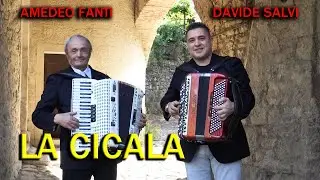 AMEDEO FANTI, DAVIDE SALVI - LA CICALA - Valzer per fisarmonica - The best of Folklore italiano