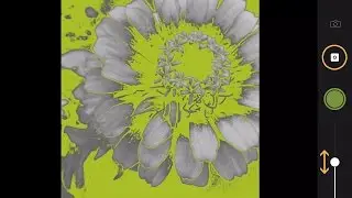 1 of 5 -  Create Vector Graphic with Adobe Capture CC