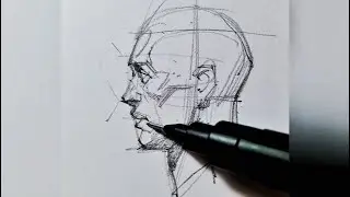 Drawing Portrait Starting from Skull, side view 1,5 minute