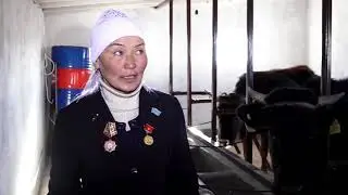 Элет деми. Мал чарбачылыгы