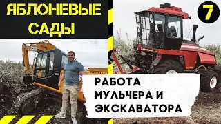 Яблоневые сады. Корчевание деревьев экскаватором. Работа МУЛЬЧЕРА. Утилизация деревьев