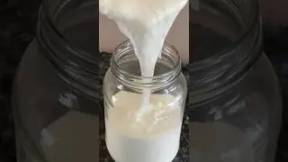 2 ingredients Plain Yoghurt | Yoghurt from Yoghurt | Cheaper Alternatives | Homemade Plain Yoghurt