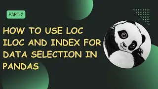 How to Use loc iloc and index for Data Selection in pandas
