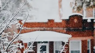 House on a Bridge (Music Video)