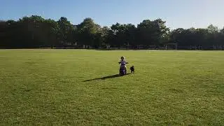 Dog vs Motorbike