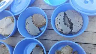 KARAKOVAN BAL 05376749328