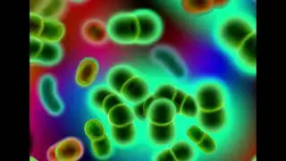 Azithromycin Antibiotic- Create Yourself Designer Frequency,  Lungs, Sinuses Ears, Eyes, Skin