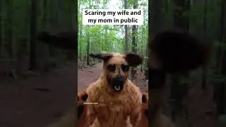 ULTIMATE Funny TikTok Compilation!! 🤣🤣