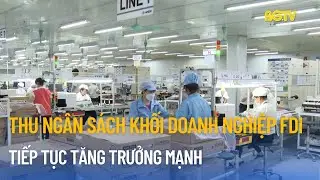 Thu ngân sách khối doanh nghiệp FDI tiếp tục tăng trưởng mạnh