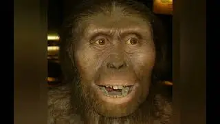 Upinder Singh Bengali 2.1 Geological Era and Hominid Evolution | UGC NET 2022 Preparation| বাংলা