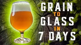 How to Make Home Brew Beer in 7 Days | Grain to Glass | Euro Gold Craft Beer