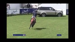 CATCHAR MAIL (DIAMANT DE SEMILLY x KATCHINA MAIL)