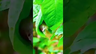 Как все гармонично в природе. Создаём жилье