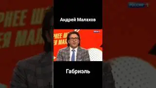 Песни от всей души.Габриэль у Андрея Малахова 