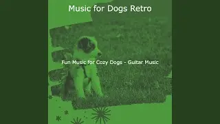 Fun Music for Cozy Dogs
