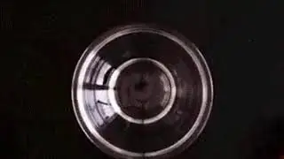 Осминожки из сосисок