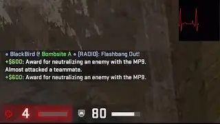 community 4 hp ace