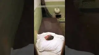 The Escape From Alcatraz