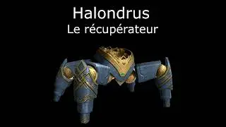Halondrus, le récupérateur MM - PoV Hunt BM