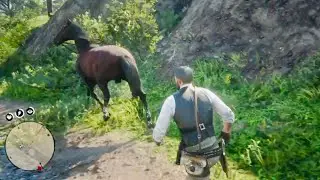 MY NEW HORSE PLAYING HARD TO GET | RDR2 (Not clickbait)