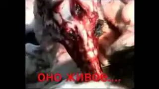 VID-20140801-WA0033.mp4